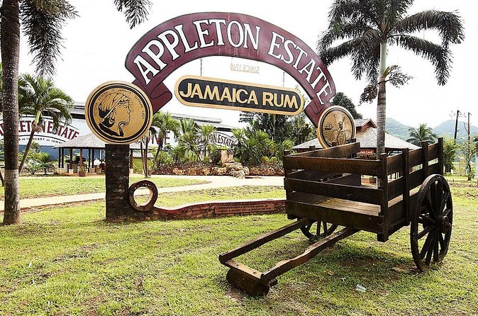 Appleton Estate Rum Tour and Tasting from Runaway Bay - Rum tasting done right: how the included tastings work for your palate