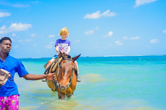 Aqua Fun Tours Dunns Falls, River Tubing and Horse Back - Dunn’s River Falls: the 600-foot climb and what to expect
