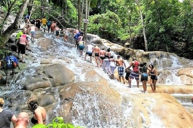 Aqua Fun Tours Dunns Falls, River Tubing and Horse Back - St. Ann’s Bay horseback riding: forest trails, beach views, and that sea moment