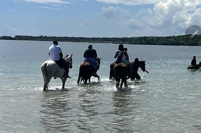 Bamboo Rafting and HorseBack Riding Excursion in OchoRios Jamaica - Getting There Smoothly: Pickup, Van Ride, and Group Size