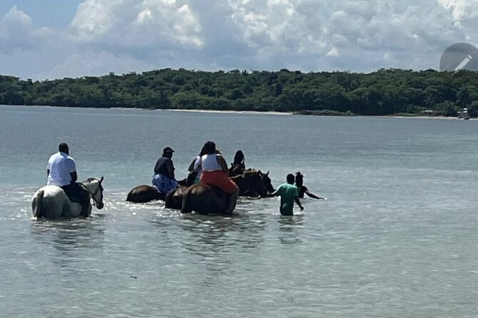 Bamboo Rafting and HorseBack Riding Excursion in OchoRios Jamaica - Stop 1: The 60-Minute Bamboo Raft Run Down the Ocho Rios River
