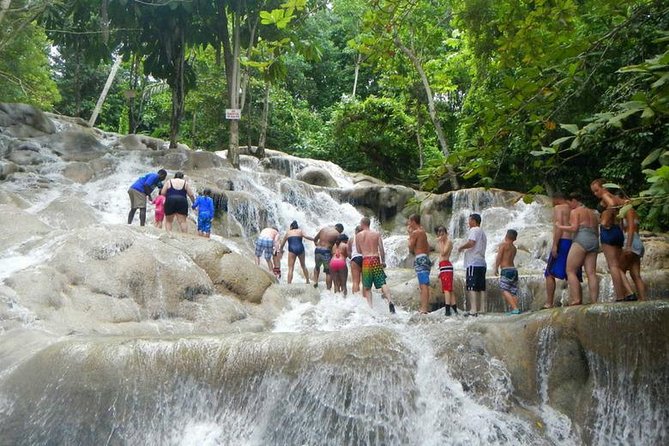 Beach Horseback Riding and Dunn’s River Falls - Price and logistics: does $188 feel fair?