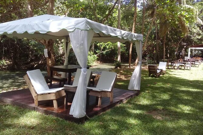 Blue Hole and Dunn’s River Falls Tour with Lunch and Cocktails at Reggae Hill - Stop 2: Reggae Hill lunch and cocktails that feel like part of the show