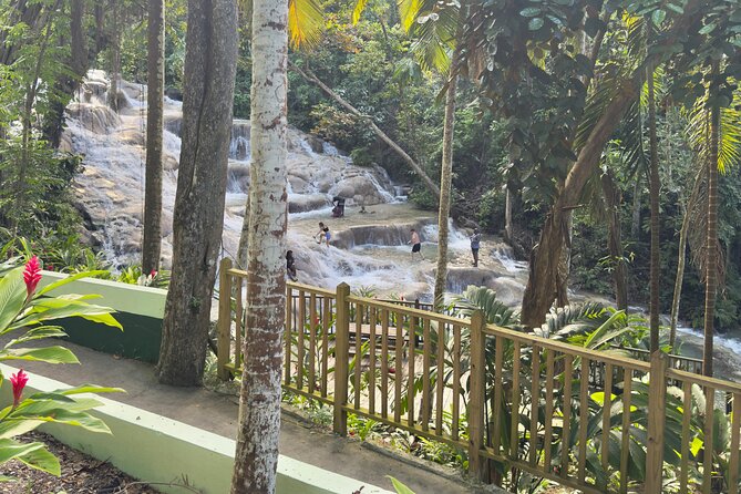 Blue Hole and Dunn's River Tour (Entrance Fees Not Included) - Drivers and safety: why this tour feels calmer than it should