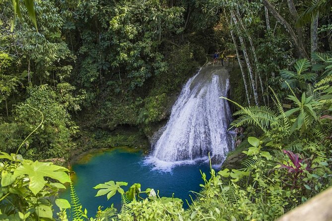 Blue Hole And Horseback riding - Blue Hole: Waterfalls, Cliff Jumping, Underwater Cave, Rope Swing