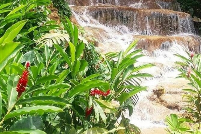 Blue Hole And Konoko Falls Combo Tour From Ocho Rios & Runaway Bay! - Price and Value: Is $95 Really Fair?