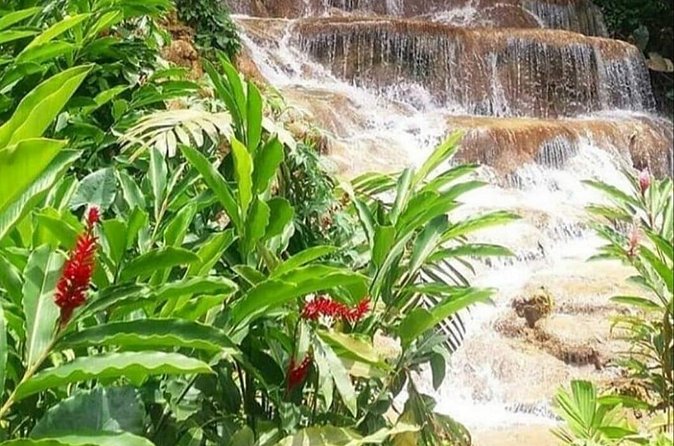 Blue Hole And Konoko Falls Combo Tour From Ocho Rios & Runaway Bay! - Weather, Safety, and Health Reality Check