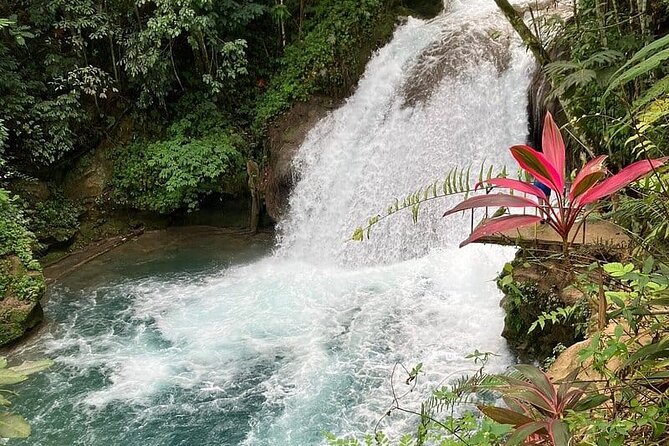 Blue Hole from Ocho Rios - Hydration Included, Time Short, and No Lunch Plan