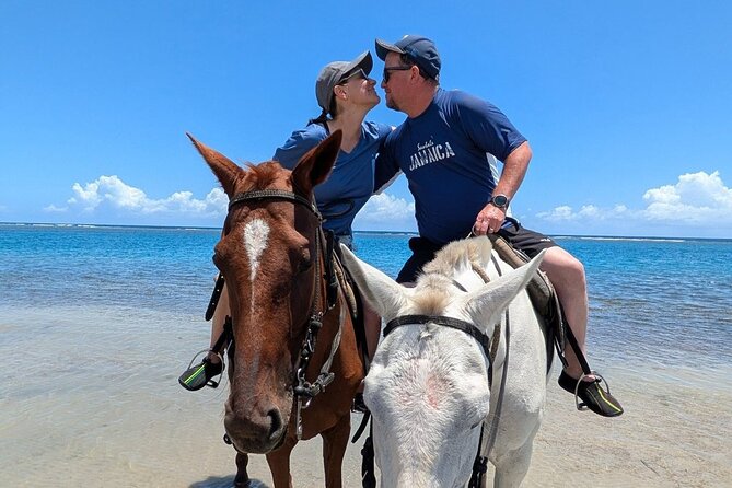Blue Hole, Horseride with Swim and Bamboo Rafting Ocho Rios - The drive between stops: air-conditioned comfort plus guide stories