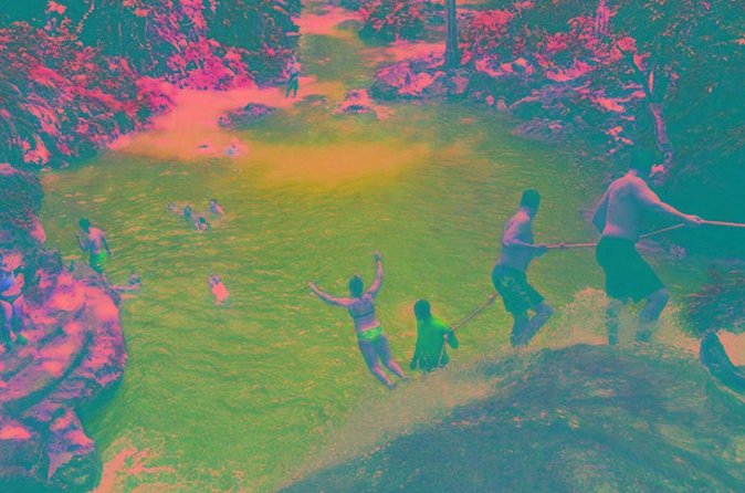 Blue Hole only-from Ocho Rios - What You Do Once You Arrive: Guide-Led Jumps, Rope Swing, and Hiking