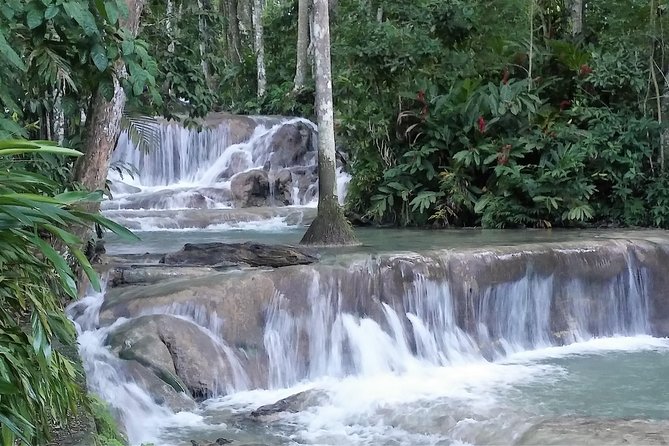 Blue Hole plus Secret Falls and Dunns River Falls Combo from Runaway Bay Hotels - Dunn’s River Falls: The Human Chain Climb (and Why It’s So Memorable)