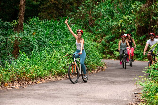 Blue Mountain Bicycle Tour - Key takeaways before you go