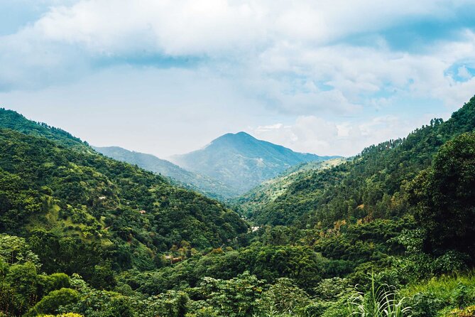Blue Mountain Highlights - Blue Mountain Bicycle Tours: bikes, safety gear, and downhill fun