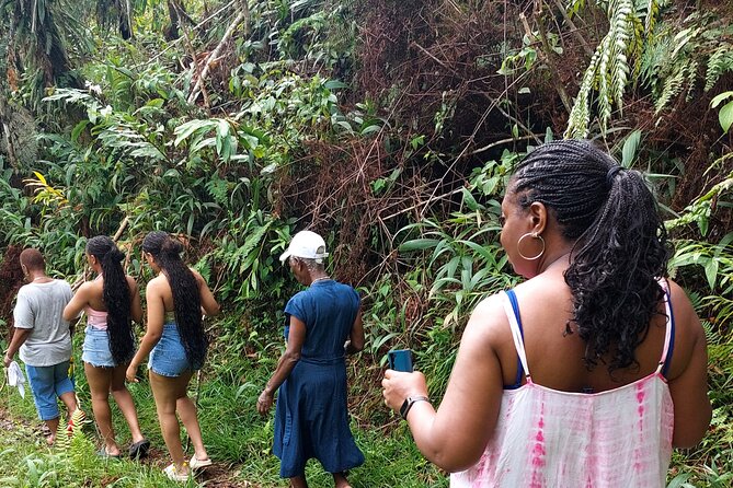 Blue Mountain Sight-Seeing & Nature Trail Hike with Private Guide - Key highlights you’ll actually feel