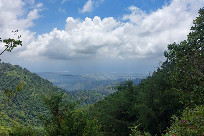 Blue Mountain Sight-Seeing & Nature Trail Hike with Private Guide - The Holywell Park hike: trails, viewpoints, and the guide factor