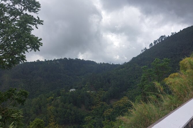 Blue Mountain Sight-Seeing & Nature Trail Hike with Private Guide - Private transportation plus included entry fees: value that adds up