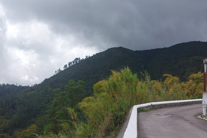 Blue Mountain Sight-Seeing & Nature Trail Hike with Private Guide - Timing: how to plan your day around a 5–7 hour outing