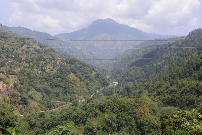 Blue Mountain Tour with Hotel Transportation - Quick hits before you go