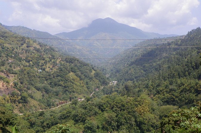 Blue Mountain Tour with Hotel Transportation - Who should book this Blue Mountains tour from Ocho Rios