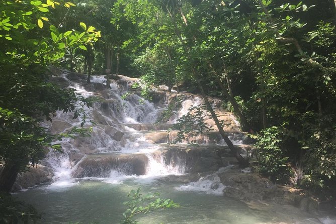 Bob Marley Nine Mile and Dunns River Combo from Ocho Rios - Group Size and How It Affects Your Day