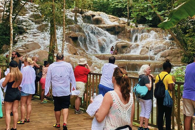 Bob Marley Nine Mile and Dunns River Combo from Ocho Rios - Who This Combo Tour Fits Best