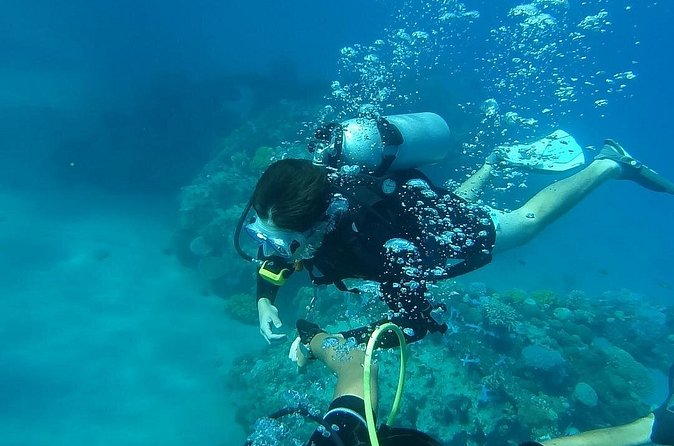 Discover Scuba Diving From Ocho Rios - The controlled-area lesson: why safety comes first here
