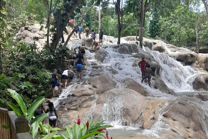 Dunn River Falls and Bamboo River Rafting in Ocho Rios Jamaica. - Should you book Dunn’s River + Bamboo Rafting in Ocho Rios?