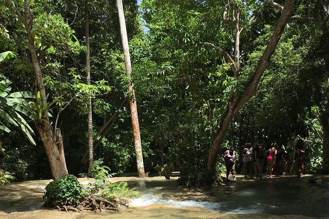 Dunn's River and Blue Hole Tour from Ocho Rios - Price and Value: Is $85 a Fair Deal?