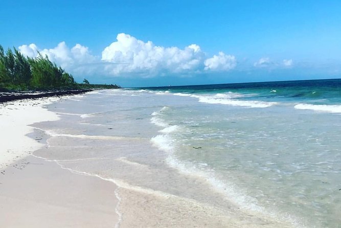 Dunn's River Falls and Beach From Ocho Rios Jamaica - Key takeaways before you go