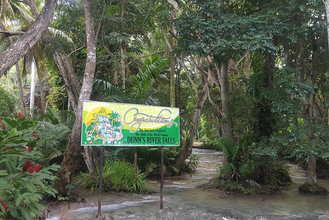 Dunn's River Falls and Beach From Ocho Rios Jamaica - Who should book this tour (and who should rethink it)