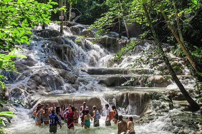 Dunn's River Falls and Horse Back Riding Excursion - The ocean horse swim: the moment everyone remembers