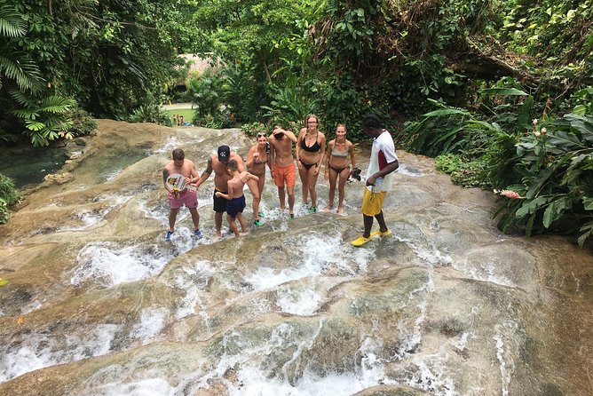 Dunn’s River Falls & Horse Back Riding Transportation Only - Private by Design: Why This Works So Well for Groups and First-Timers
