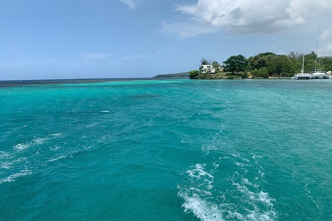 Dunn's River Falls Party Cruise, Blue Hole with Snorkeling, free beverages - Timing, crowds, and how to avoid the usual headaches