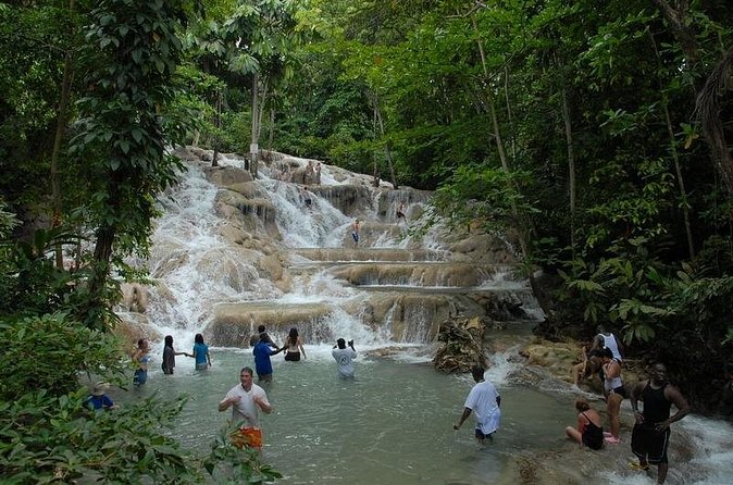 Dunn's River Falls Tour from Ocho Rios - Who This Tour Is Best For