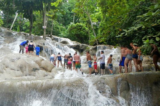 Dunns River Falls & Bob Marley - Private Pickup and Transfers: Why It’s Worth Paying for
