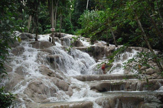 Dunns River Falls from Ocho Rios - Dunns River Falls from Ocho Rios: the easy way in