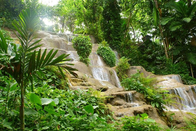 Eco Explorers Waterfall, Rainforest, local Shopping with lunch - Pickup, group size, and why the timing feels workable