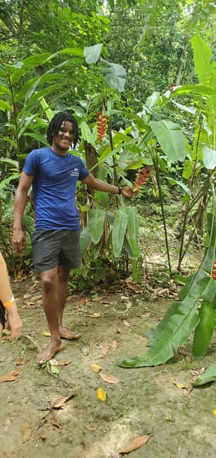 From Montego Bay: Blue Hole Waterfall Experience - Ocho Rios Stop: A Short Taste of Food and Other Options
