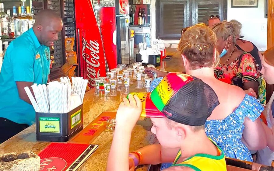 From Runaway Bay: Bob Marley Mausoleum Guided Day Trip - From Runaway Bay to Nine Mile: The drive that sets the tone