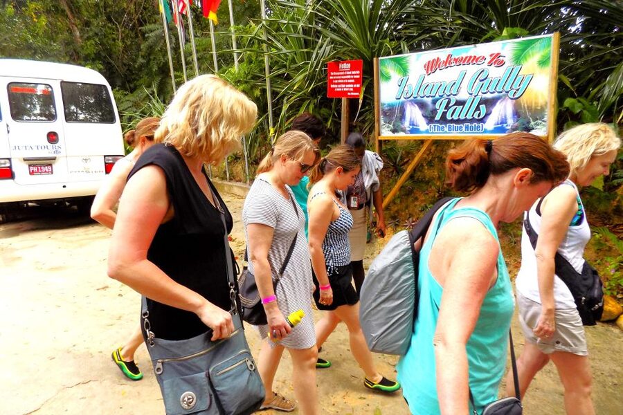 From Runaway Bay: Island Gully Falls and Blue Hole Tour - Price Check: Is $180 Worth It for Island Gully Falls and Blue Hole?