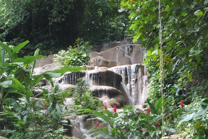 Fun tour for kids with River tubing and Konoko Falls - Feeding birds, spotting wildlife, and keeping it fun (not stressful)