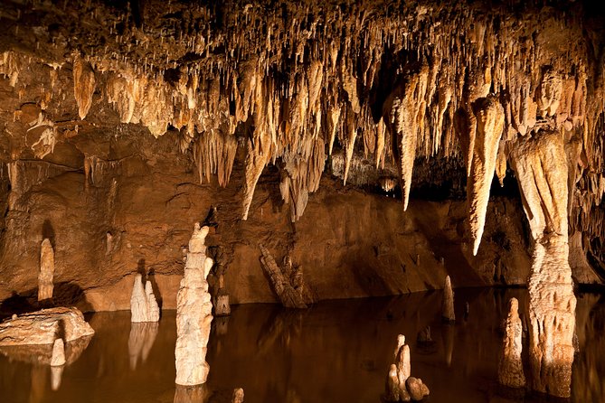 Green Grotto Caves Excursion from Ocho Rios - Green Grotto Caves From Ocho Rios: Why This Tour Works