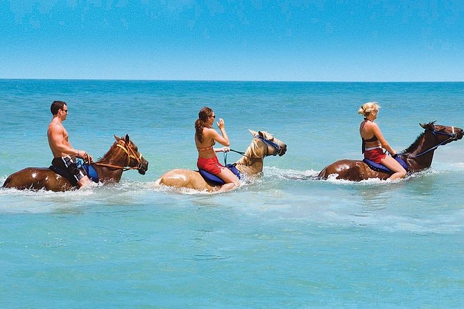 Half Day Beach Horseback Riding in Ocho Rios + Lunch - Getting There: Pickup, Timing, and the Ocho Rios Meeting Point