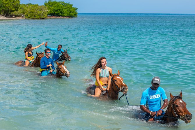 Horseback Ride and Swim from Ocho Rios - From stables to the Caribbean Sea: what “ride and swim” really means