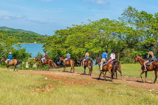 Horseback Ride and Swim from Ocho Rios - Duration and timing: why shared pickup can change your day