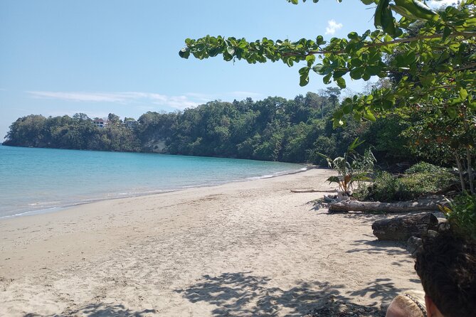 Horseback riding, Blue hole or Dunn's River Combo - Private Transportation That Actually Makes the Day Feel Easy