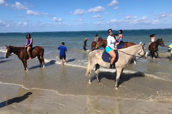 Horseback Riding in the ocean & Bamboo Rafting from Ocho Rios - Price and value: does $170 make sense for what you get?