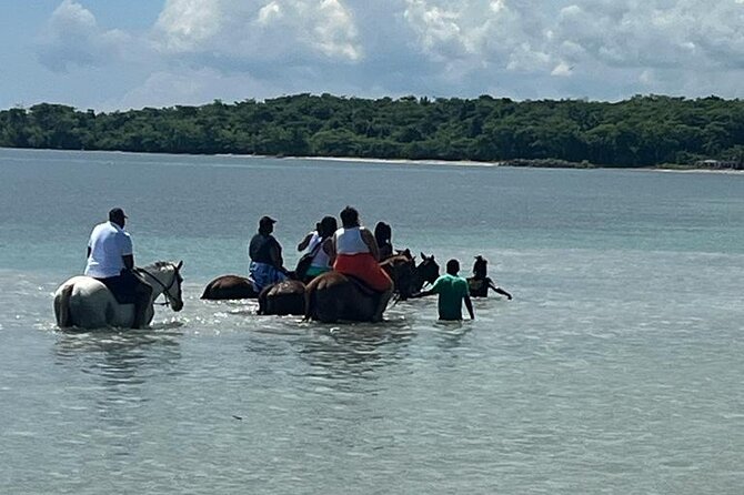 Horseback Riding in the Ocean from Ocho Rios & Runaway Bay - Getting There From Saint Ann’s Bay Without Stress