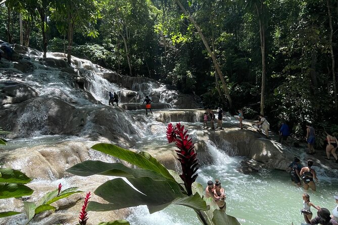 Horseback Riding/Swimming and Dunn's River from Ocho Rios - Booking Practicalities and Small Logistics to Know