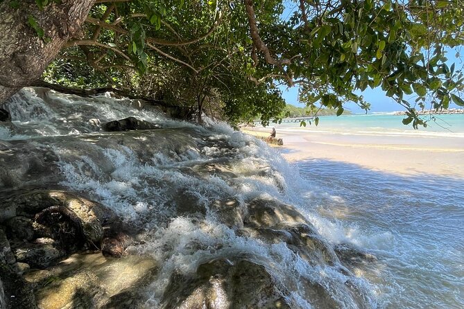 Horseback Riding/Swimming and Dunn's River from Ocho Rios - Should You Book This Horseback Riding and Dunn’s River Combo?
